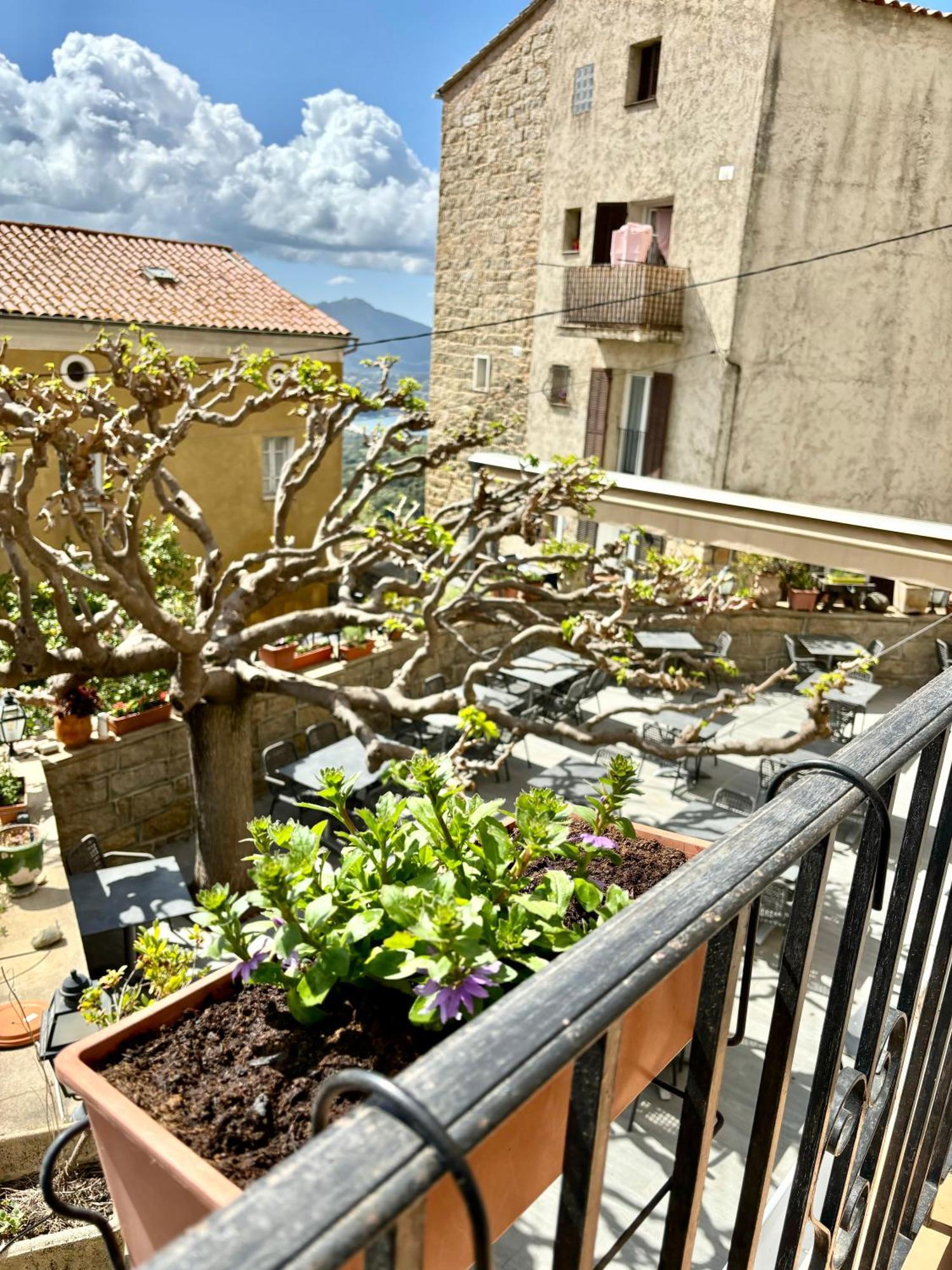 Hoetel U Santa Maria Olmeto  Δωμάτιο φωτογραφία